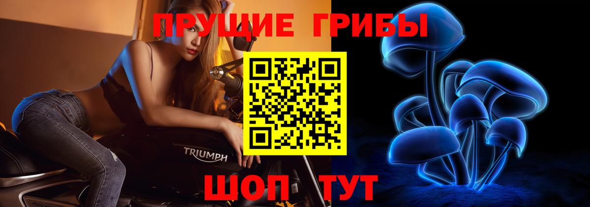 Псилоцибиновые грибы Psilocybe Благовещенск